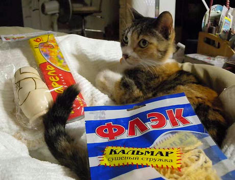 DSCN4251.jpg