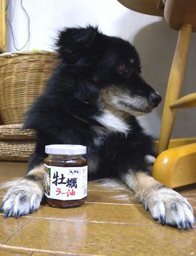 DSCN4254.jpg