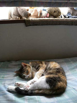 DSCN4217.jpg