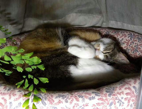 DSCN4273.jpg