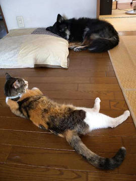 DSCN4283.jpg