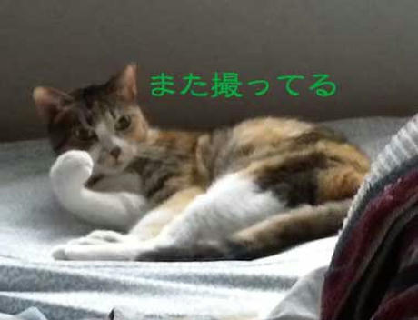DSCN4293.jpg