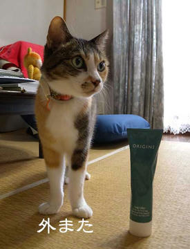 DSCN4300.jpg