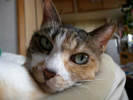 DSCN4232.jpg