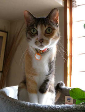 DSCN4331.jpg