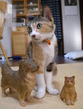DSCN4348.jpg