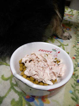 DSCN4356.jpg