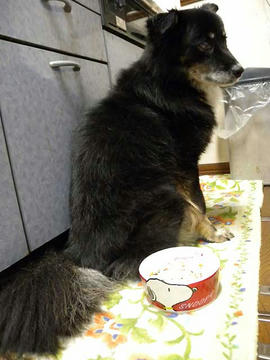 DSCN4357.jpg