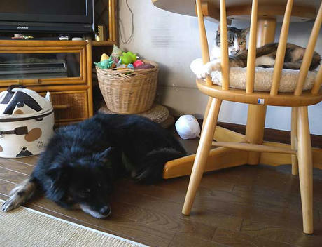 DSCN4319.jpg