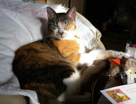 DSCN4364.jpg