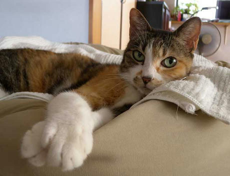 DSCN4276.jpg