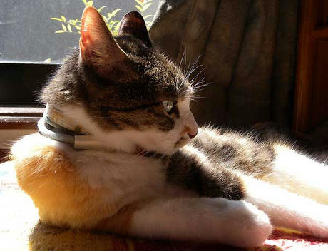 DSCN4398.jpg