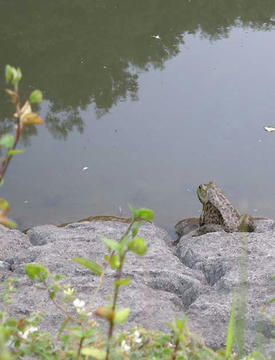 DSCN4427t.jpg
