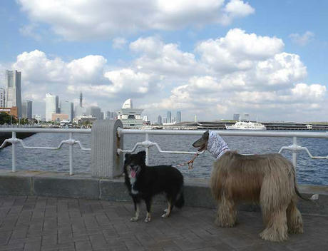 DSCN4435.jpg