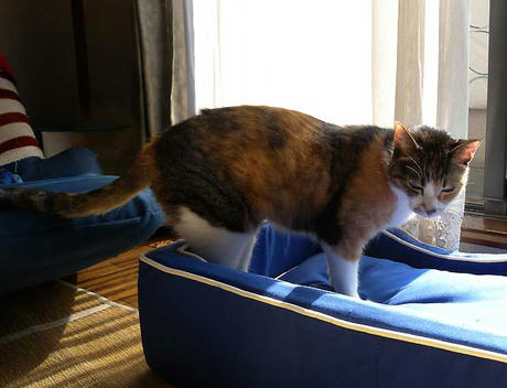 DSCN4488.jpg