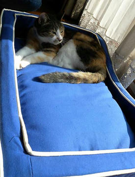 DSCN4489.jpg