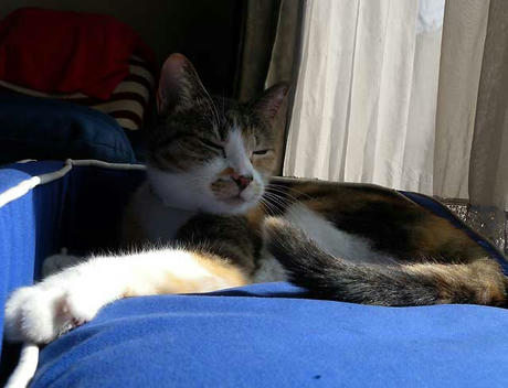 DSCN4491.jpg