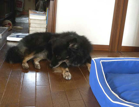 DSCN4499.jpg