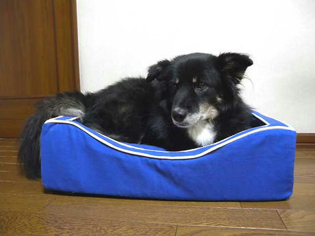 DSCN4503.jpg