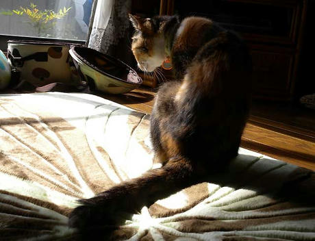 DSCN4521.jpg