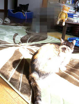 DSCN4526.jpg