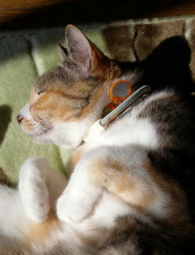 DSCN4531.jpg
