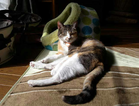 DSCN4548.jpg