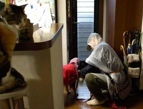 DSCN4563.jpg
