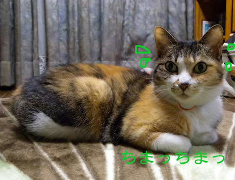 153645bb.jpeg