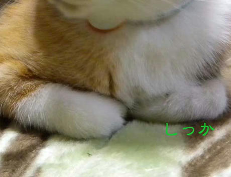 DSCN4574.jpg