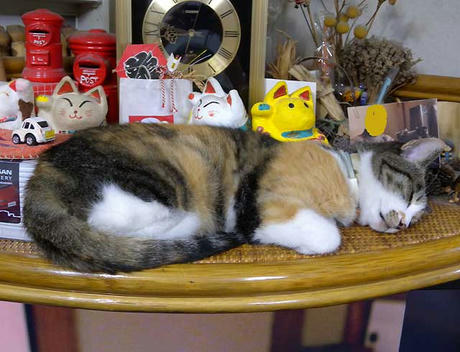 DSCN4581.jpg
