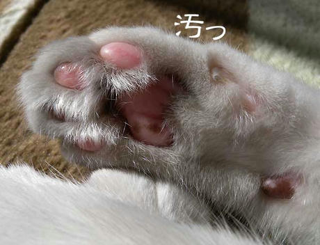 DSCN4586.jpg