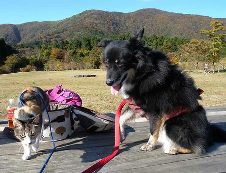 DSCN4622.jpg