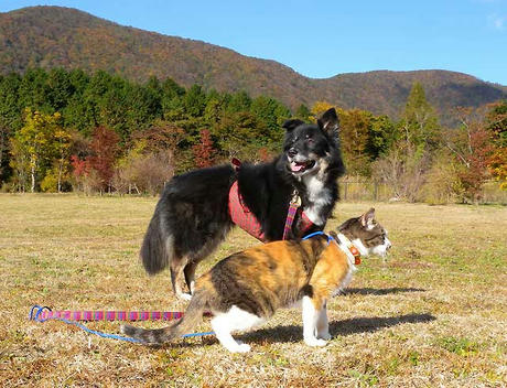 DSCN4645.jpg