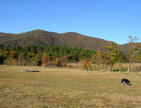 DSCN4609.jpg