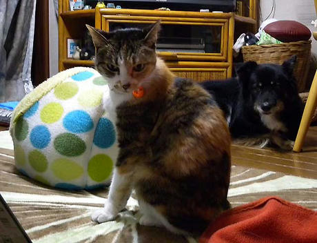 DSCN4696.jpg