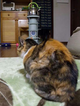 DSCN4745.jpg