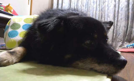 DSCN4808.jpg
