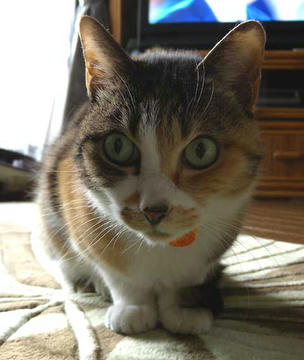 DSCN4829.jpg