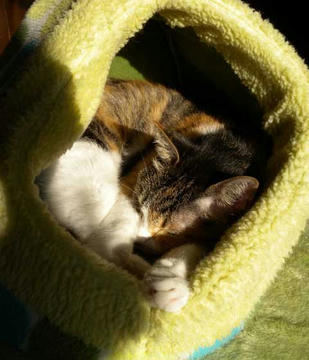 DSCN4832.jpg