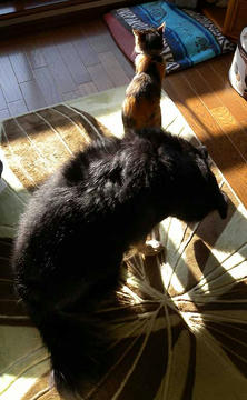 DSCN4836.jpg