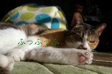 DSCN4840.jpg
