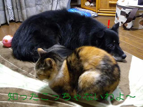 DSCN4863.jpg