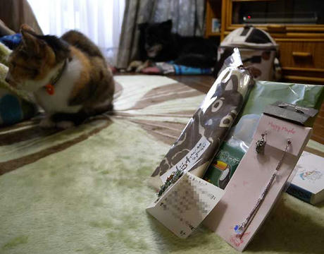 DSCN4929.jpg