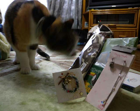 DSCN4930.jpg