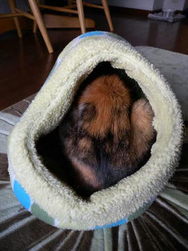 DSCN4943.jpg