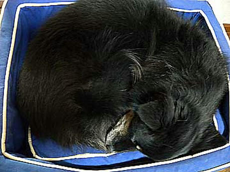 9322a34b.jpg