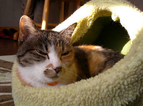 DSCN4989.jpg