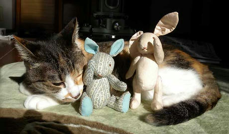 DSCN4873.jpg