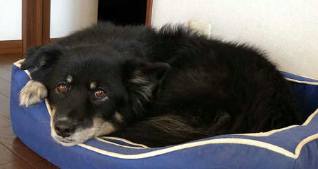 DSCN4904.jpg